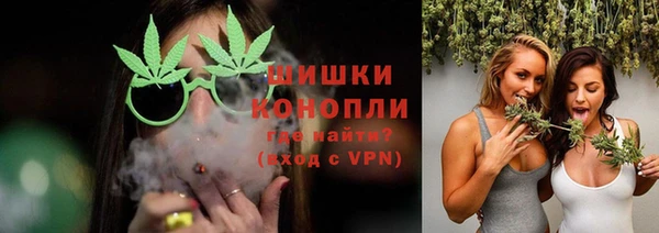 твердый Новодвинск