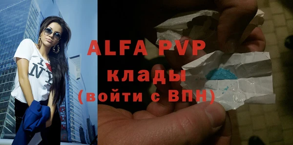 спиды Новозыбков
