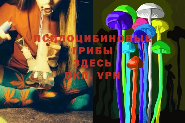 спиды Новозыбков