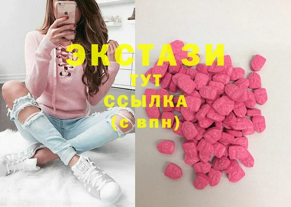 твердый Новодвинск