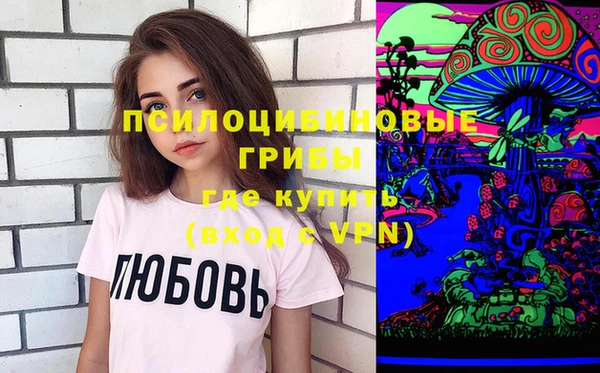 твердый Новодвинск