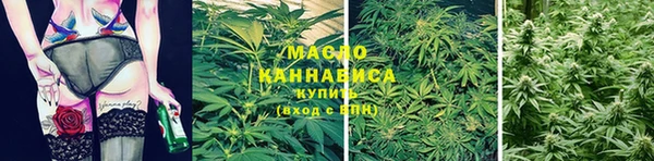 спиды Новозыбков