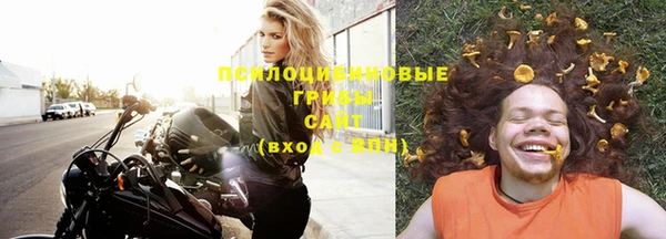 спиды Новозыбков