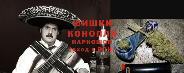 твердый Новодвинск