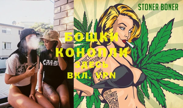 спиды Новозыбков