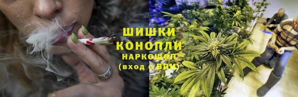 твердый Новодвинск