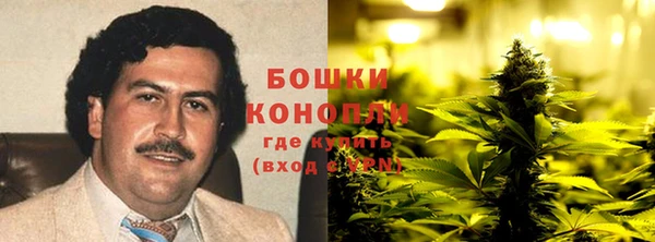 твердый Новодвинск