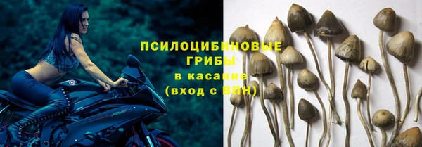 каннабис Новокубанск